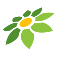 DLS MOD APK
